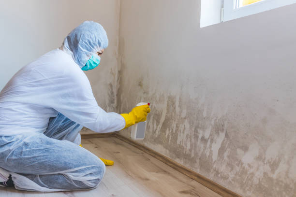 Licensed Commercial Mold Remediation service in Woodsboro, MD - WQB Mold Removal