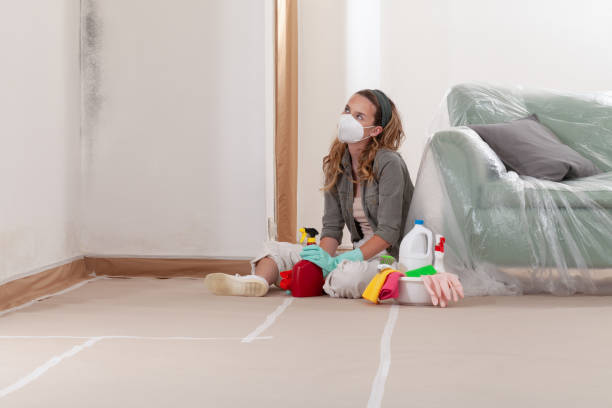 Reliable Commercial Mold Remediation contractor in Woodsboro, MD by WQB Mold Removal